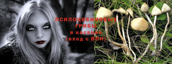 PSILOCYBIN Вяземский