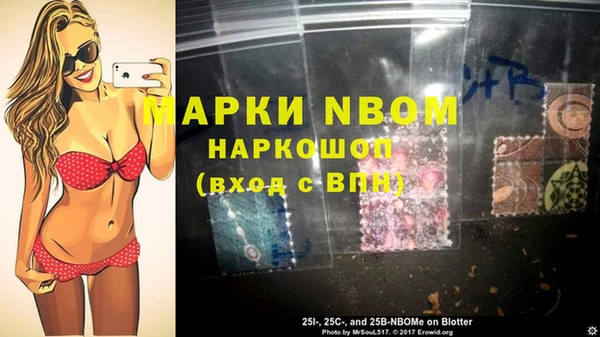 PSILOCYBIN Вяземский