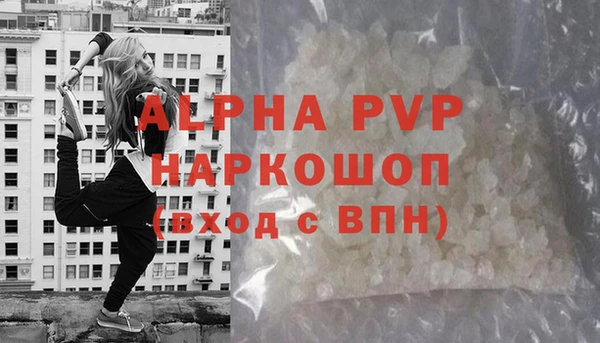 ешки Горняк