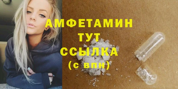 ешки Горняк