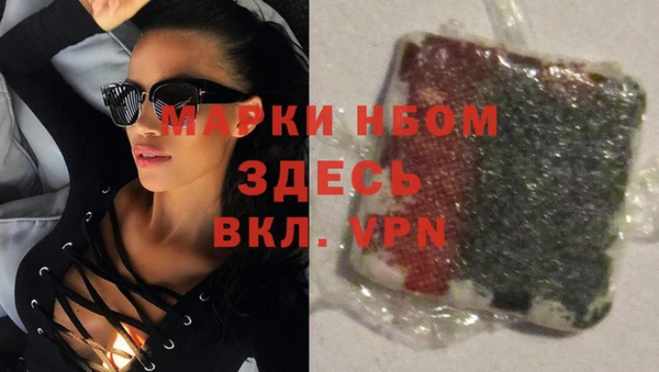 PSILOCYBIN Вяземский