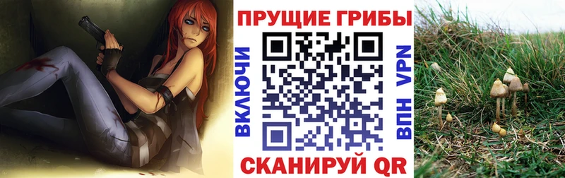 Галлюциногенные грибы GOLDEN TEACHER  купить закладку  Кувандык 